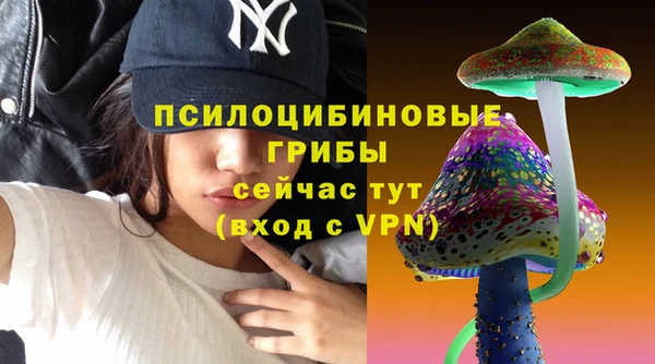 МДМА Белокуриха