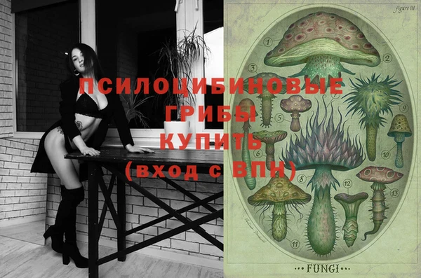 ПСИЛОЦИБИНОВЫЕ ГРИБЫ Беломорск